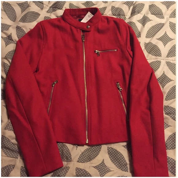 GAP Wool Moto Jacket - Picture 3 of 4