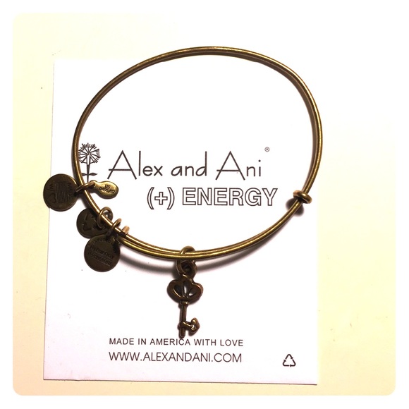 Bundle for Sarah Alex and Ani s and skeleton key