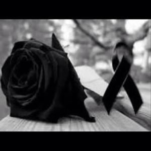 Meet your Posher, Yovanna