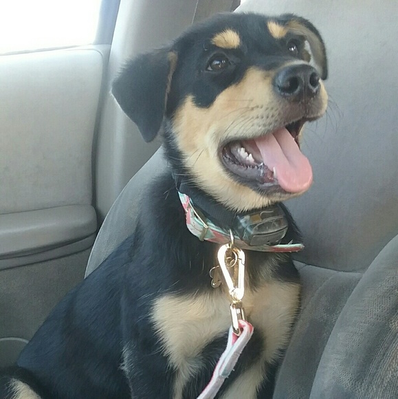 🎀 Meet Your Posher! 🎀 - Picture 4 of 4