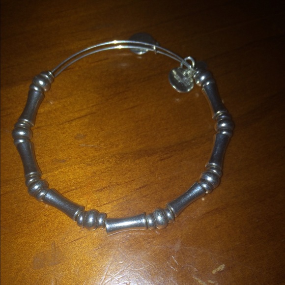 Alex&Ani starting bangle- new