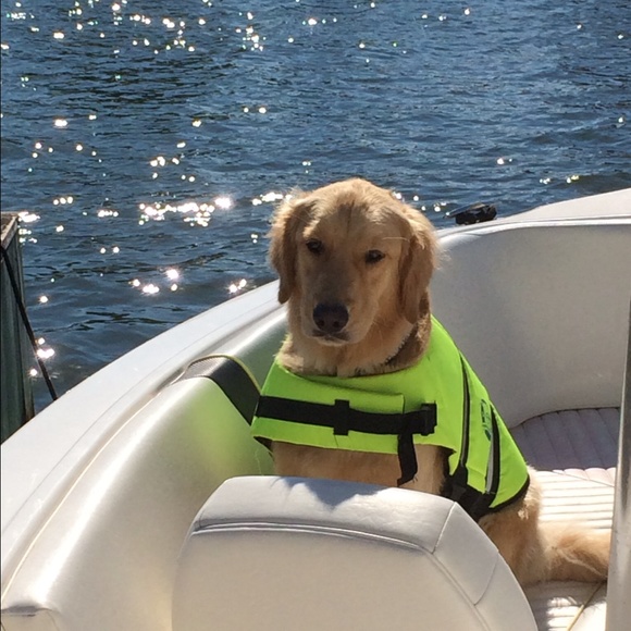 Meet your Posher, Kim! - Picture 2 of 4