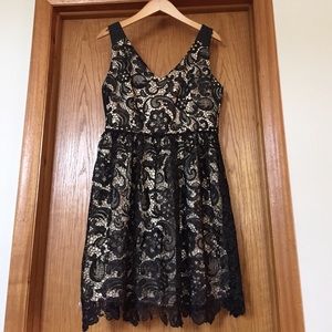 Akira Black Label Black Lace and Nude Dress