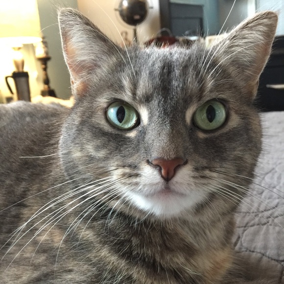 Meet your seller/buyer - Picture 4 of 16