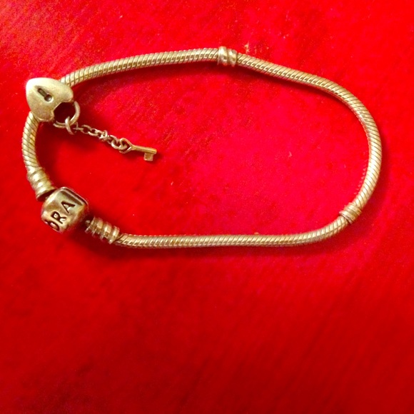 🍂fall sale🍂 Pandora bracelet with pandora charm