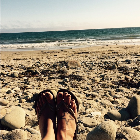 Molly... Yeah for recycling!! 🌏 - Picture 3 of 3