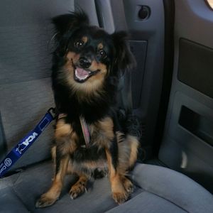 Meet your Posher, Crystal