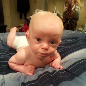 Meet your Posher, Searcy