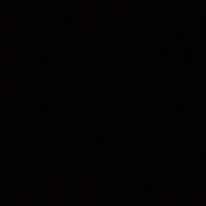 Meet your Posher, Gloria