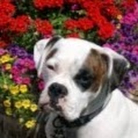 Meet your Posher, Rick & holly - Picture 1 of 1