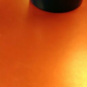 Meet your Posher, Shauna