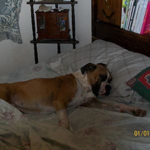 Meet your Posher, Terrie