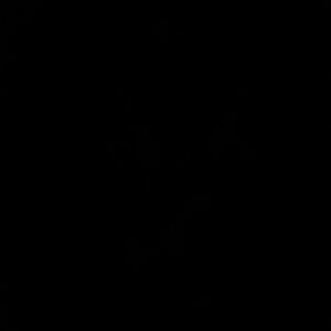 Meet your Posher, Desiree