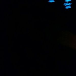 Meet your Posher, Bonnie