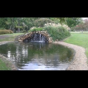 Meet your Posher, Lashaunda