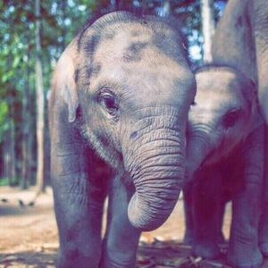 Meet your Posher, Carli