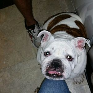 Meet your Posher, Eva