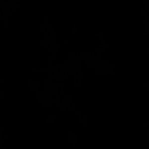 Meet your Posher, Travis