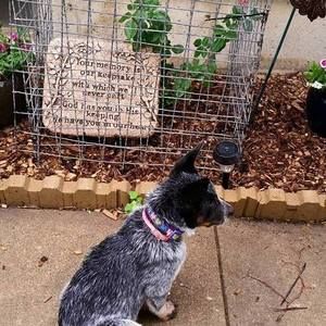 Meet your Posher, Tracy