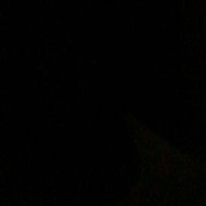 Meet your Posher, Jalyn