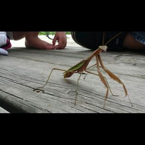 Meet your Posher, Angel