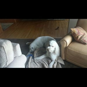 Meet your Posher, Heather