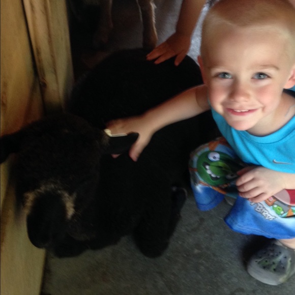 *about me * - Picture 4 of 4