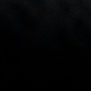 Meet your Posher, Joey