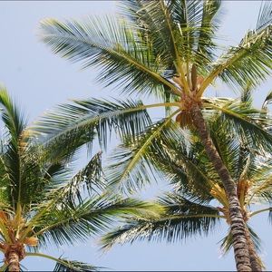 Meet your Posher, Lucy