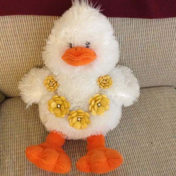 Meet your Posher, Solei - Picture 4 of 4