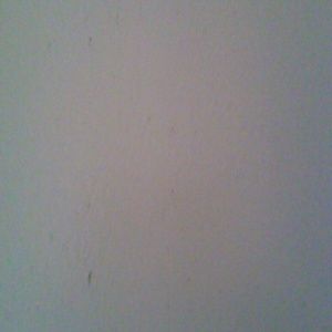 Meet your Posher, Marco