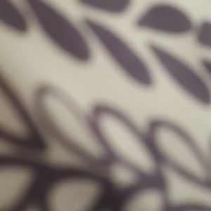 Meet your Posher, Ariel