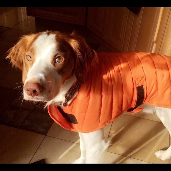 Meet your seller - Picture 2 of 2