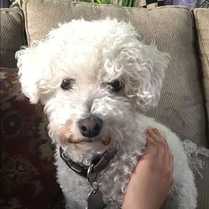 Meet your Posher, Jess