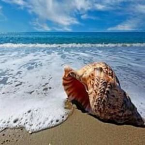 Meet your Posher, Vicky