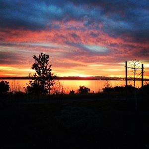 Meet your Posher, Brandy