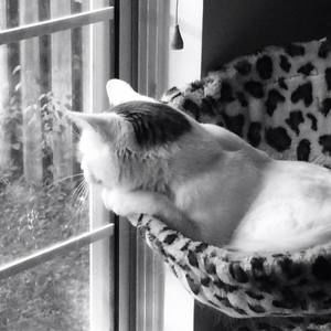 Meet your Posher, Lynn