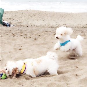 Meet your Posher, Danijela