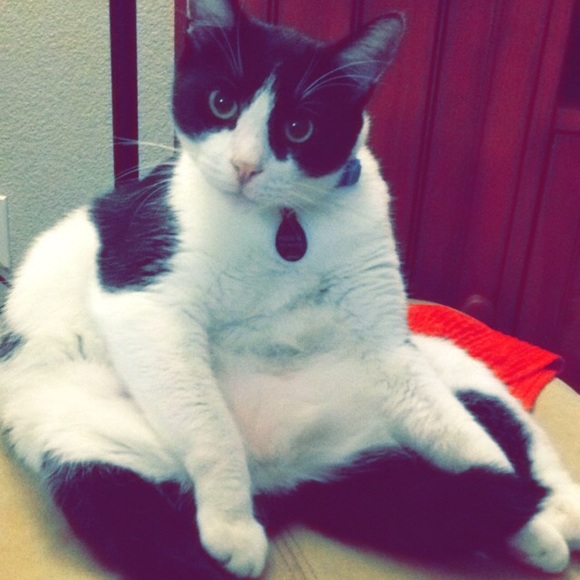 Meet Your Posher, Paige 🌻 - Picture 4 of 4