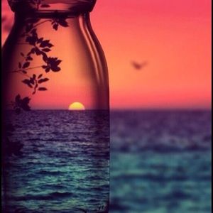 Meet your Posher, Tiana