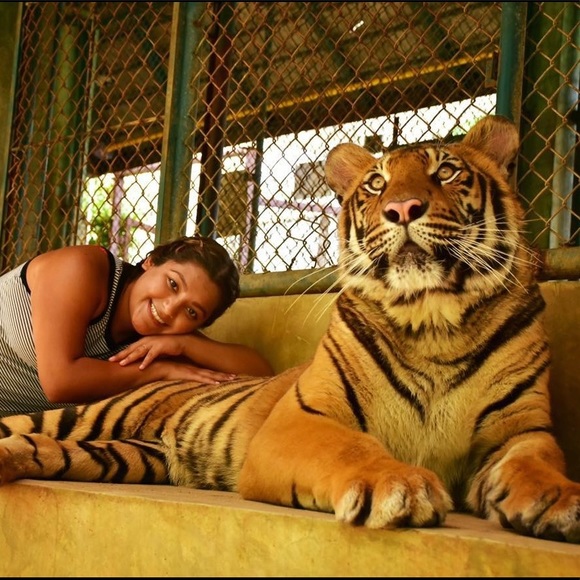 Meet The Posher - Picture 4 of 4