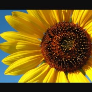 Meet your Posher, Christa