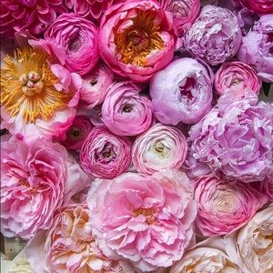 Meet your Posher, Chelsey