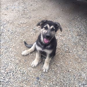 Meet your Posher, Nathan