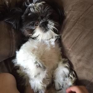 Meet your Posher, Madison