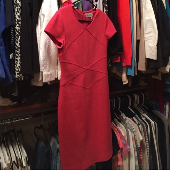 Worth Reddish Pink lined Dress