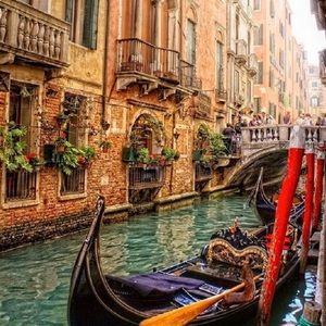 Meet your Posher, Ashely