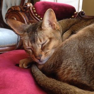 Meet your Posher, Aiza