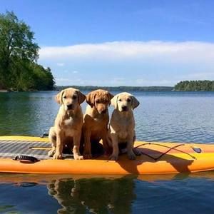 Meet your Posher, Ila jean