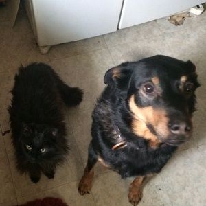 Meet your Posher, Carrie